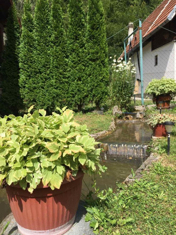 Sipovo Domacinstvo Ubovic 빌라 외부 사진